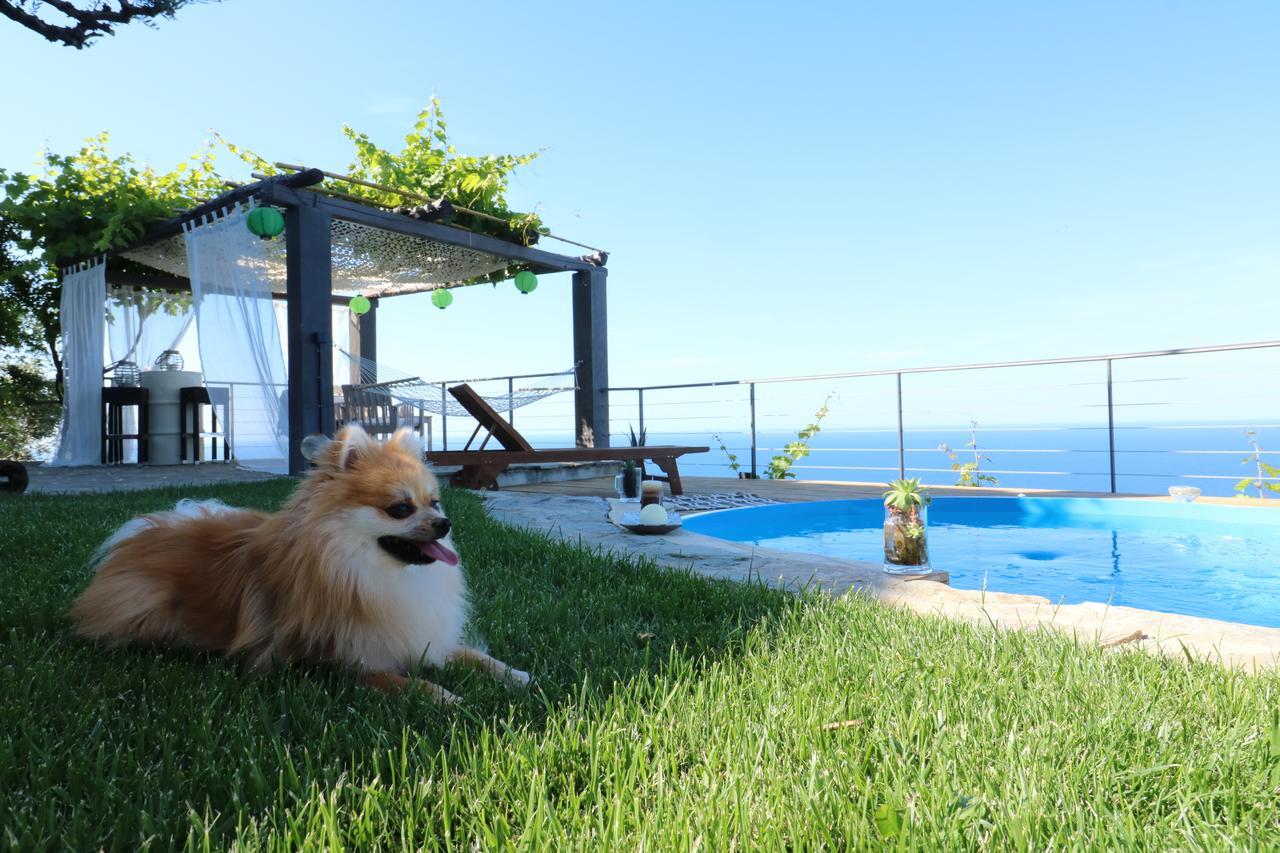 Fakistra'S Blue House Villa Tsagarada Luaran gambar